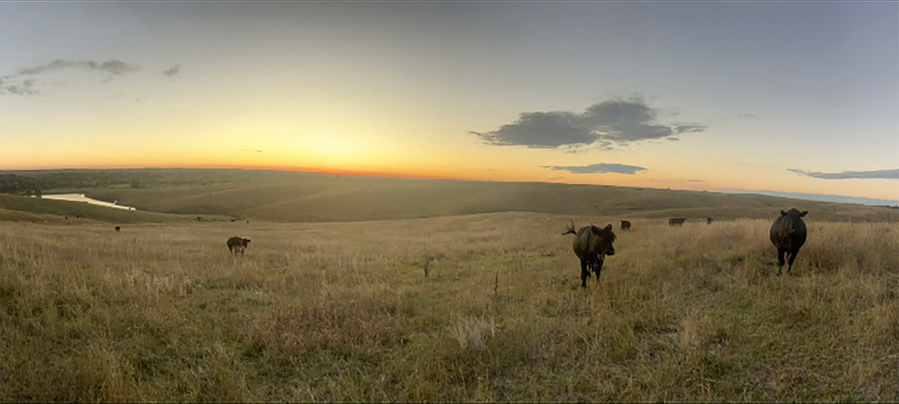 KL Beef Ranch, Nebraska, klbeefco.com